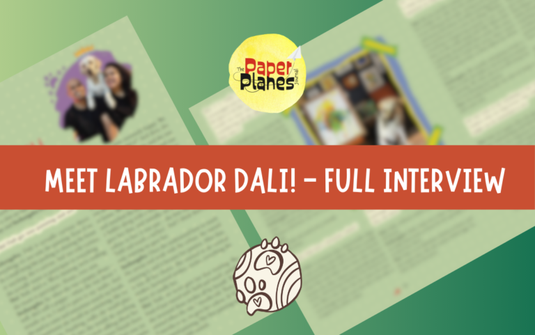 Thumbnail - Meet Labrador Dali 1